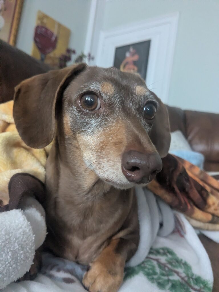Ava Settling In 🥰