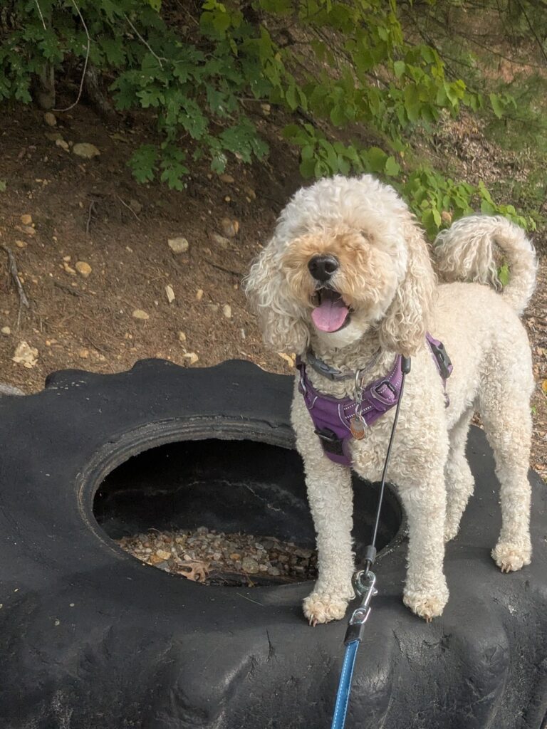 Photos From Friday’s Walk