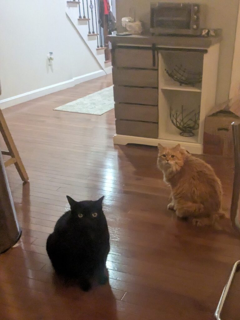 Friendly Morning