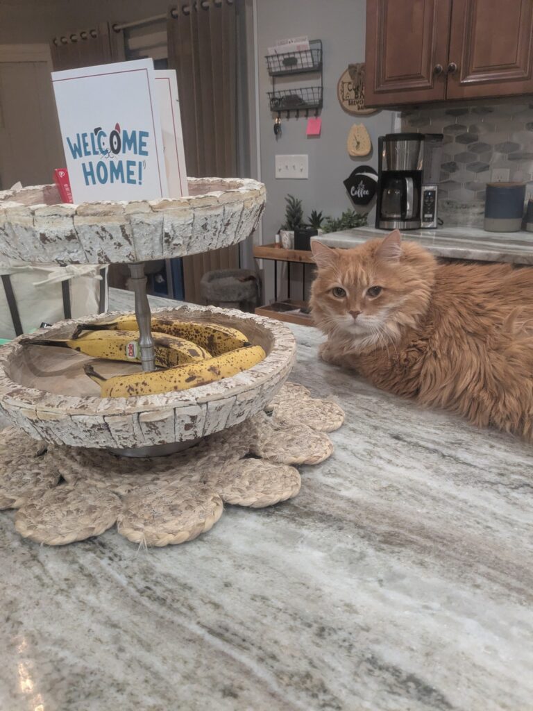 Excited For Mom’s Return