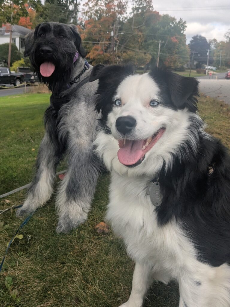 Frenz-day Playdate