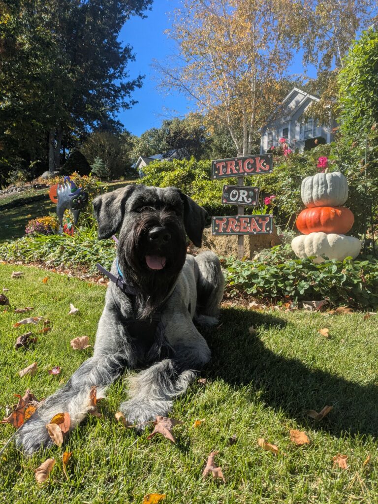 Spooky Structured Walk 👻🎃