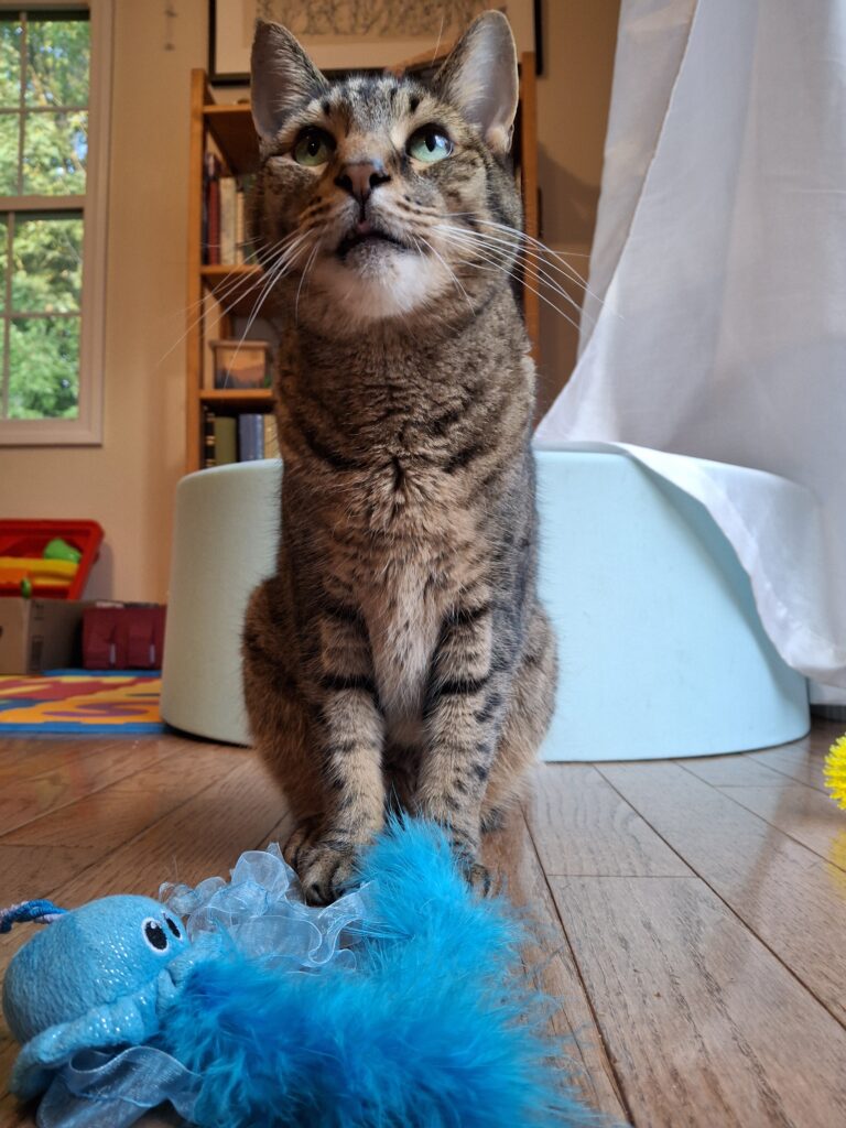 Look At That Face!