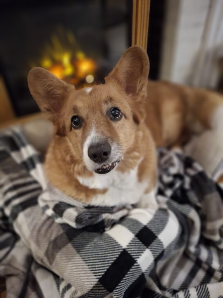 Roo Bear The Magnificent!
