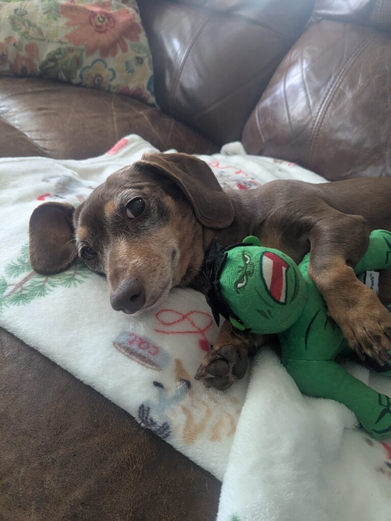 Tuckered Out