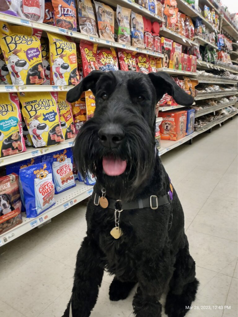 Jameson went to Tractor Supply and was like a kid in a candy store!