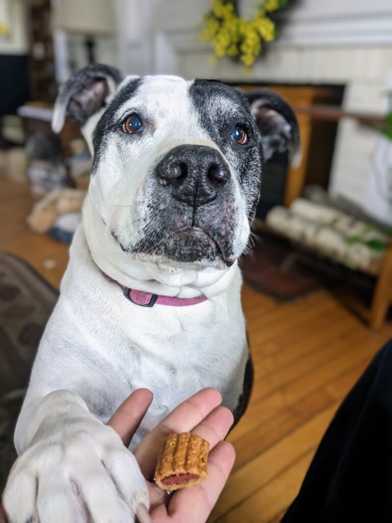 Bailey doesn’t work for free