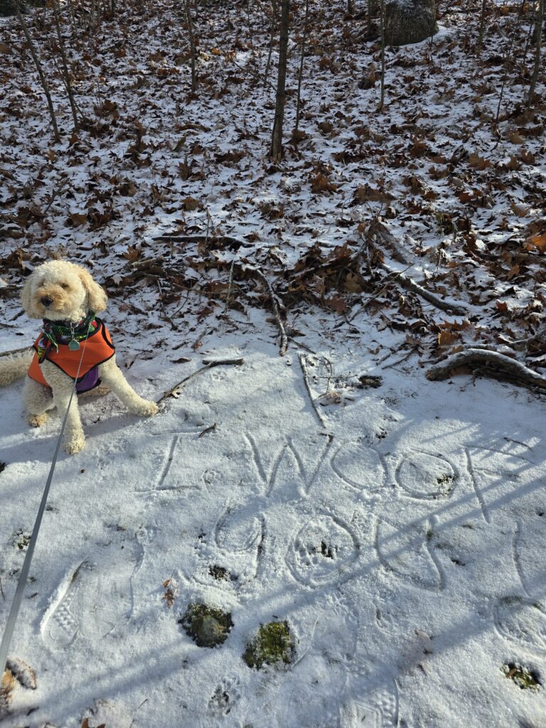 ❄️🐾 Sticks,snowflakes And Scribbled ‘Woofs’