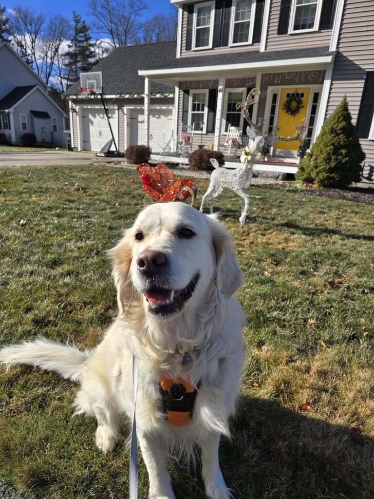 🥯 Bagel’s Merry Meet-Up March 🎄