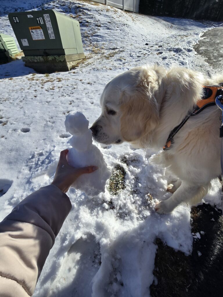🎶 ‘Ohhhh, Bagel Ate My Snowman ‘ ⛄️
