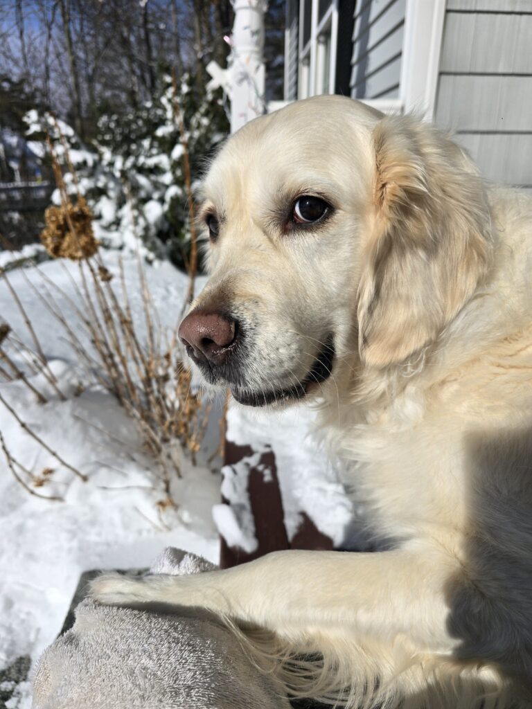 😶‍🌫️ The Glow In The Snow 🌟