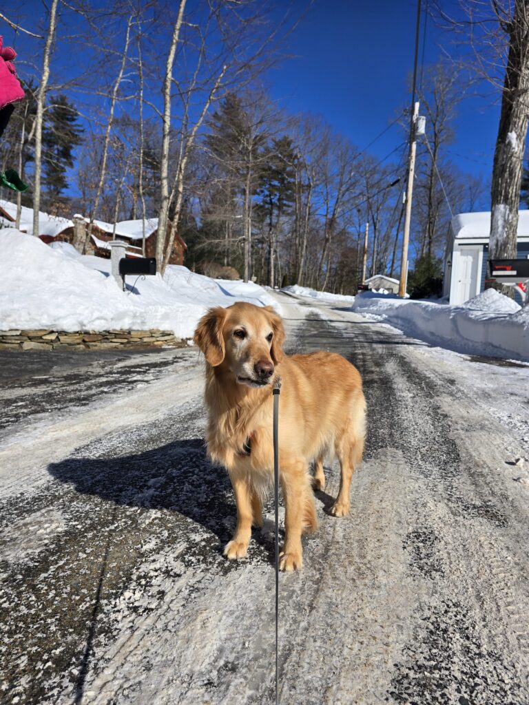 🥶 A Chilly Day, A Very Happy Julian 😊