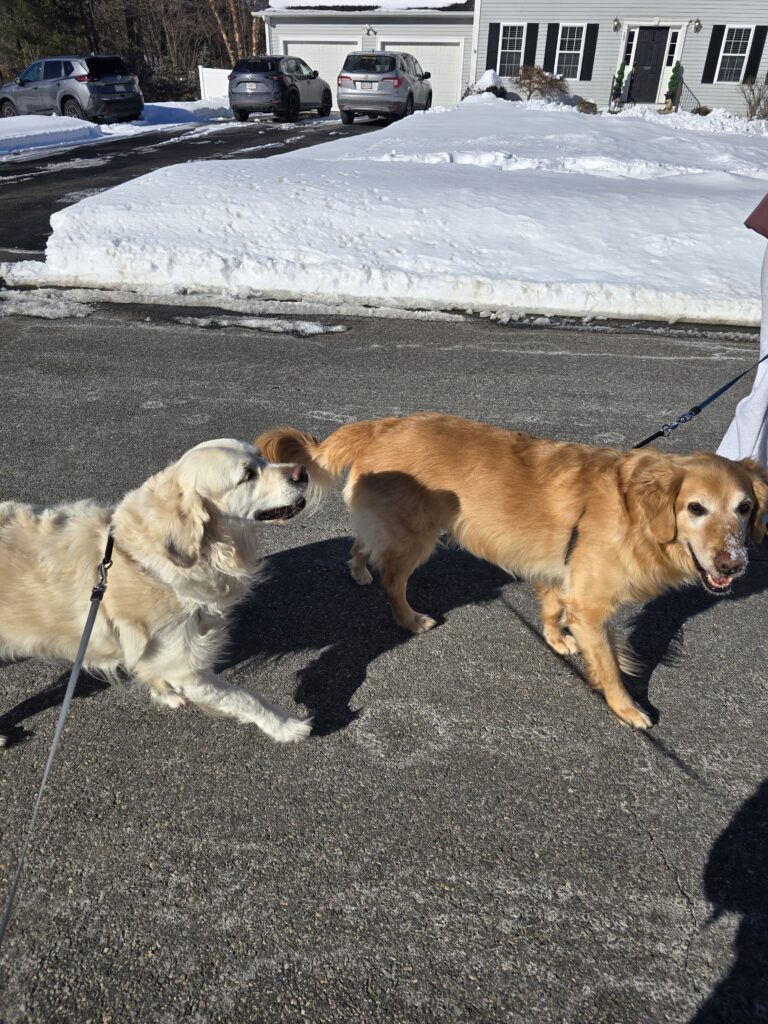 Thursday’s Walk