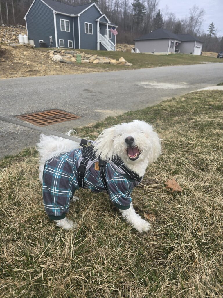 Living That No-Care Life 😌🐾