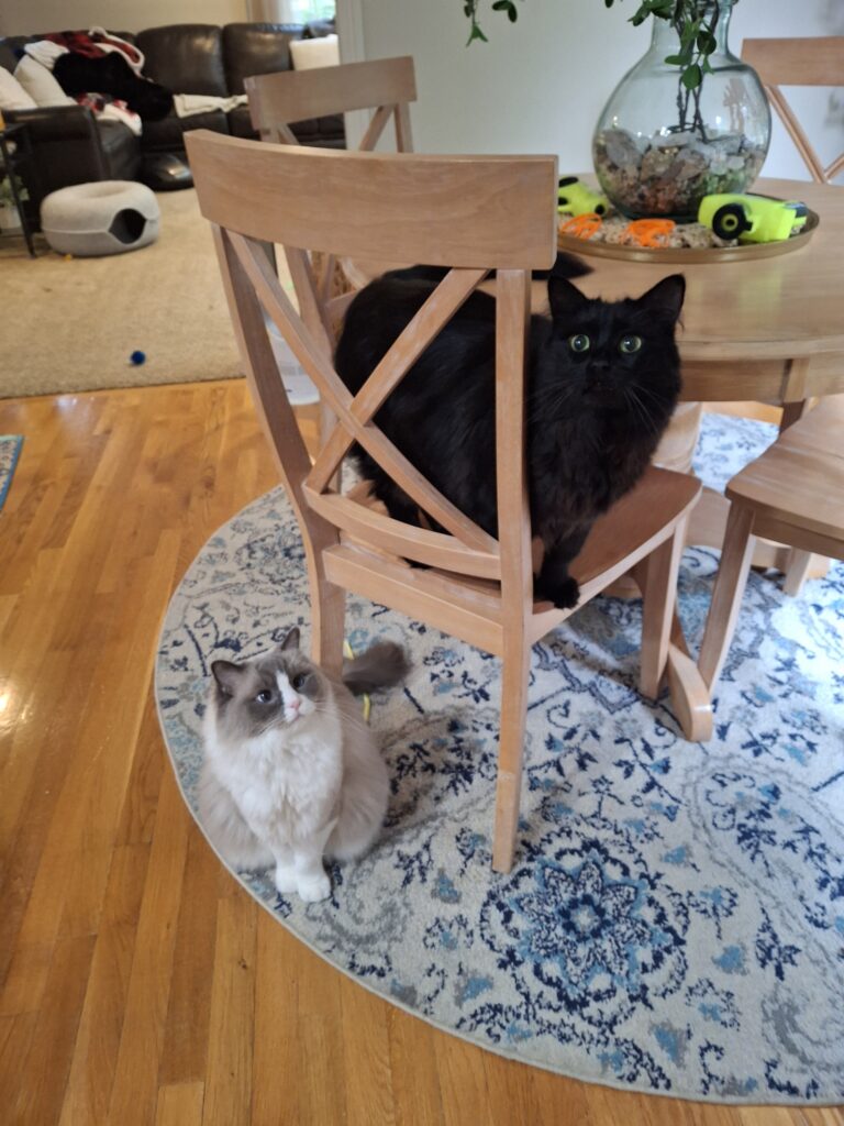 Sunday With My Besties!