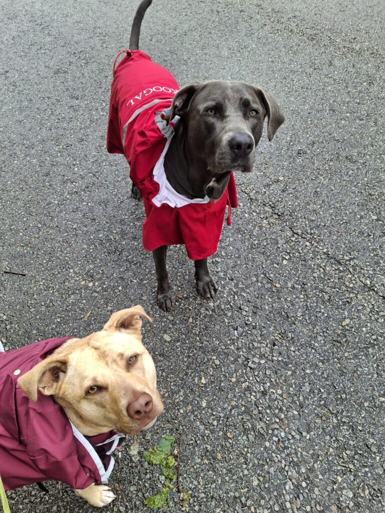 Rain Or Shine We Have A Good Time!
