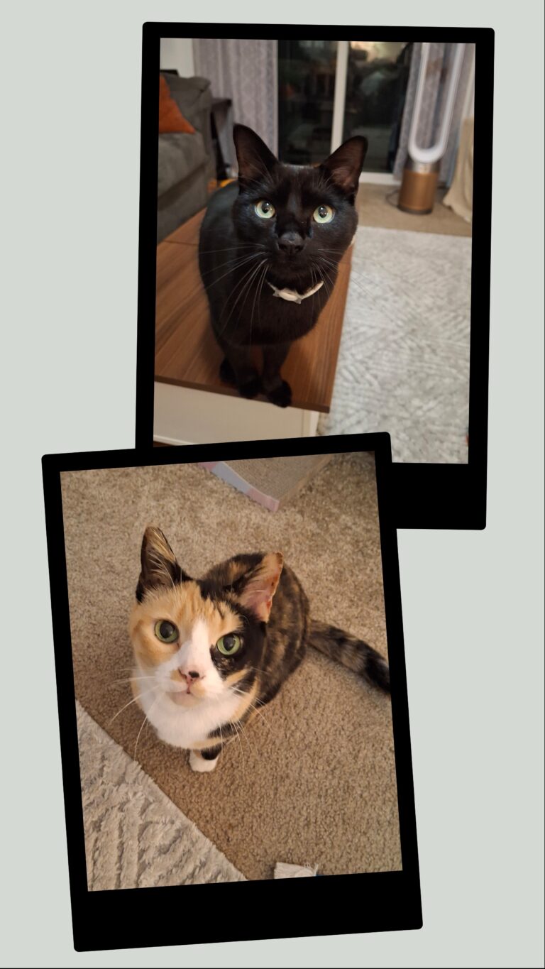 Lovies!