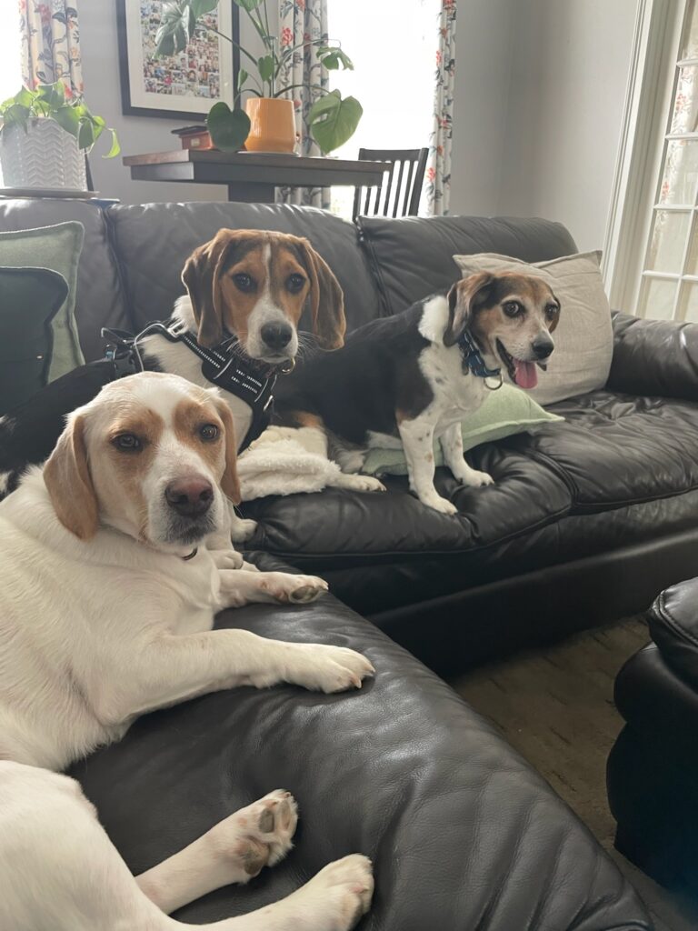 Photos From Tuesday’s Pet-sitting Visit