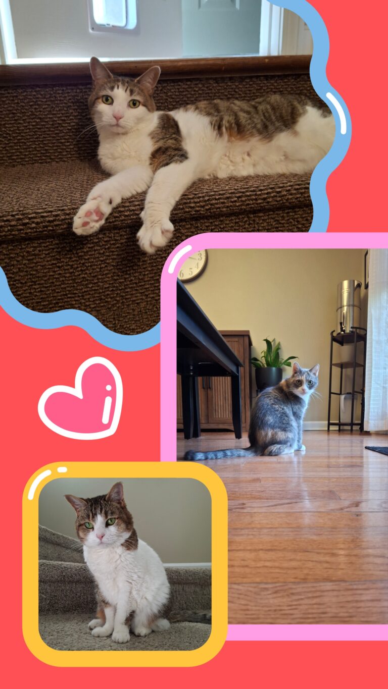 My Heart Is Full!