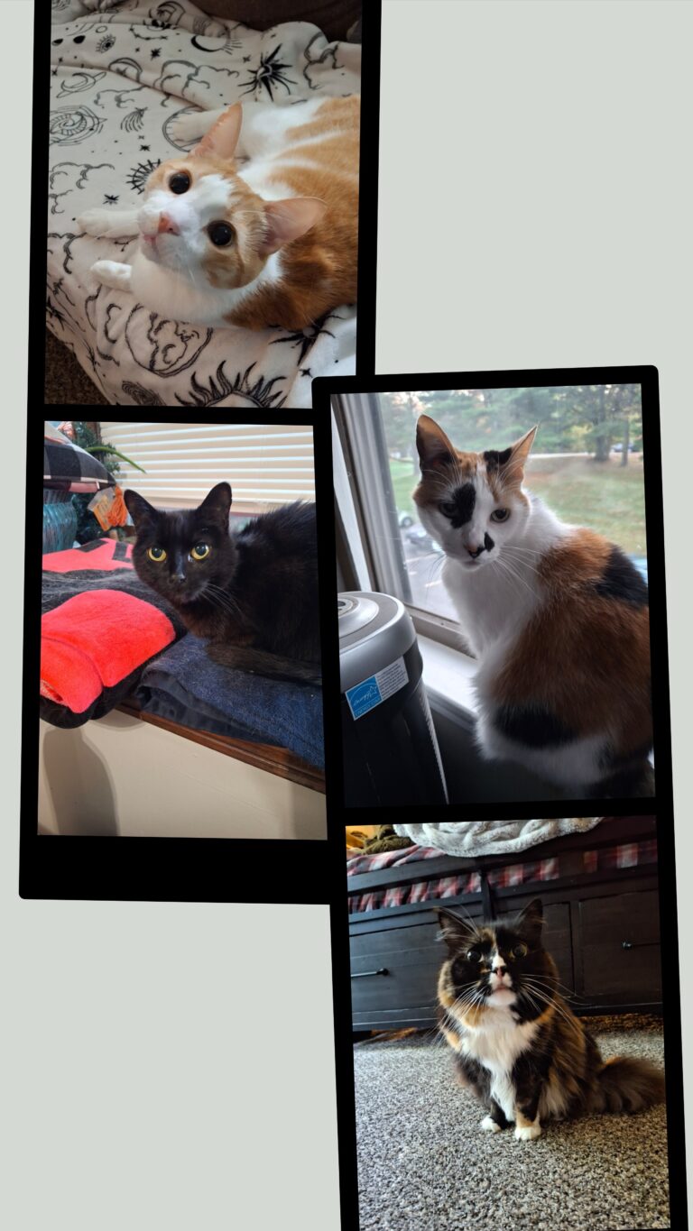 Hello New Friends!
