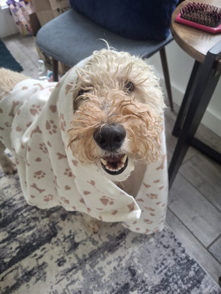 Soggy Sunday