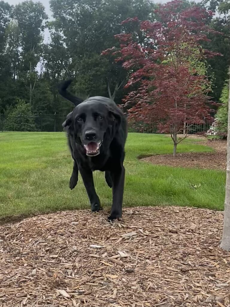 We ❤️ A Warm Rain 🌧️