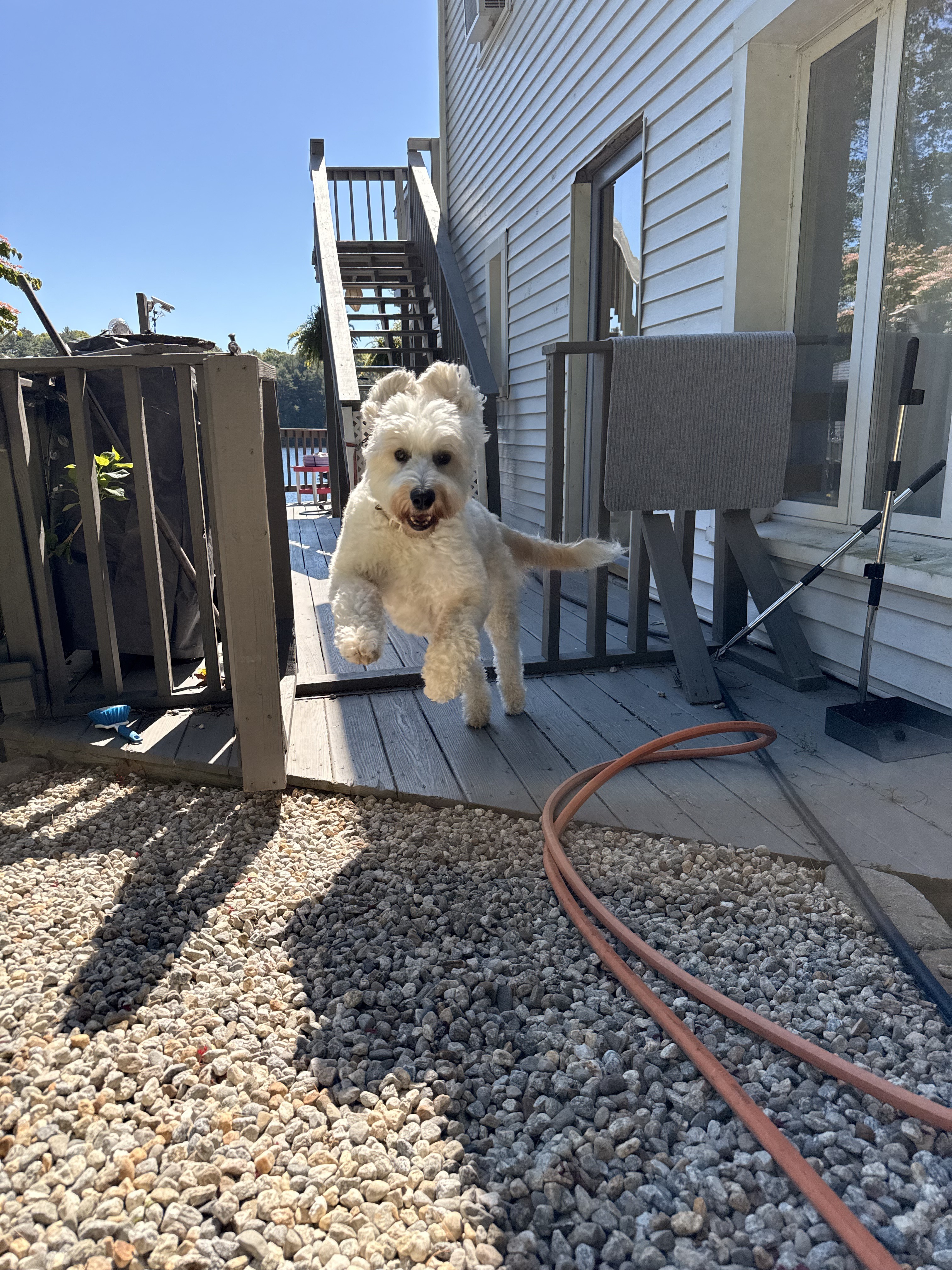 Fun In The Sun