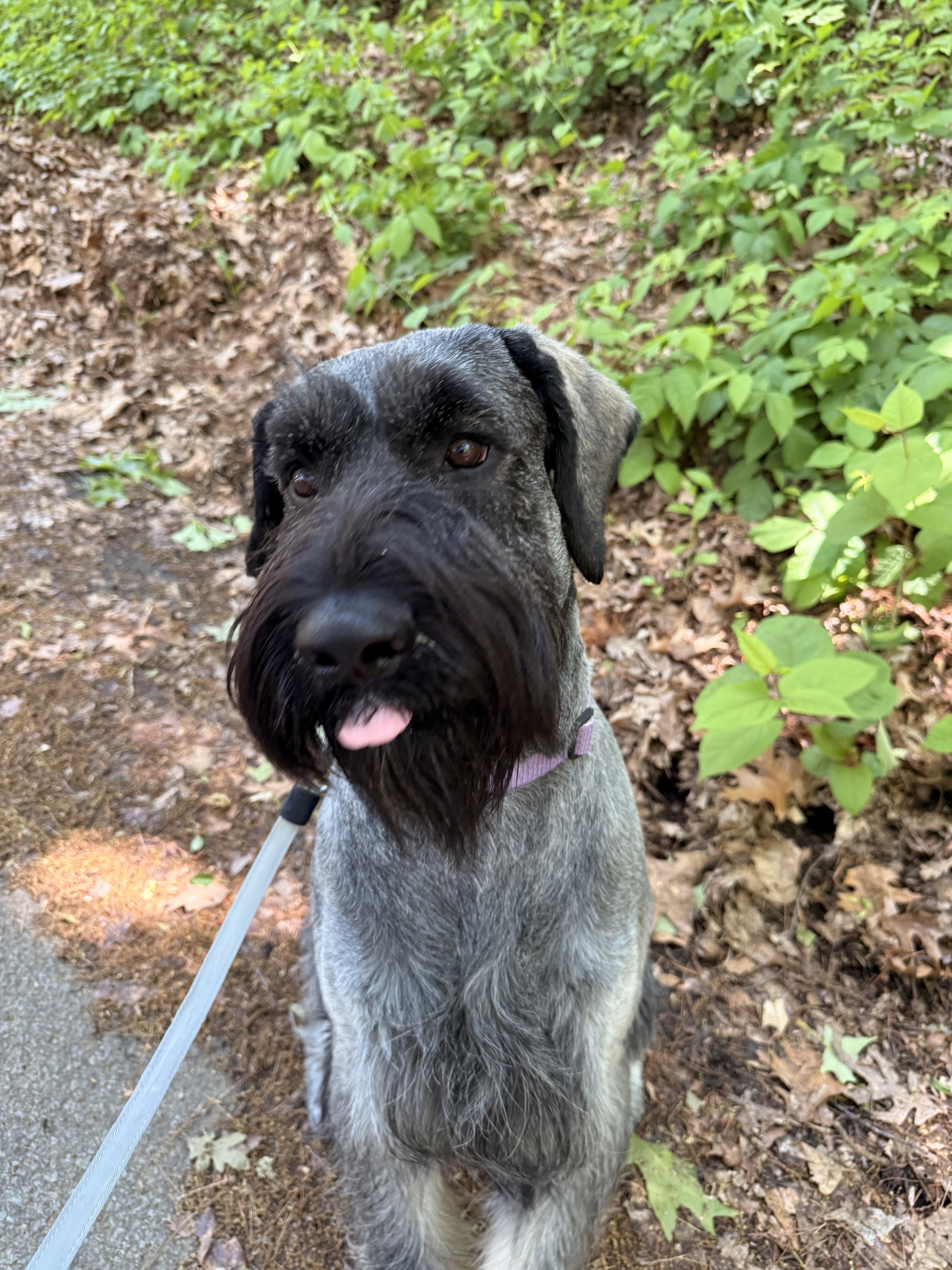 Handsome And Kind