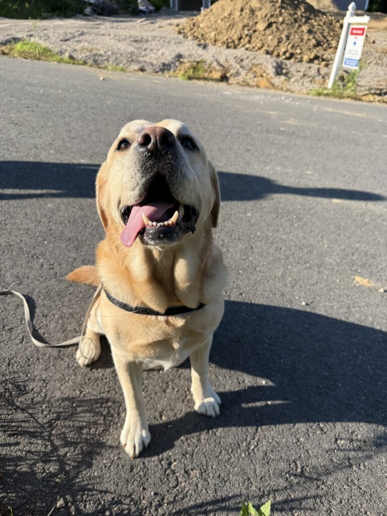 Tucker Meets A New Friend