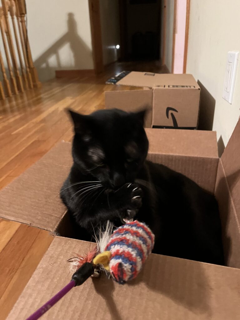 Showing Off 😻