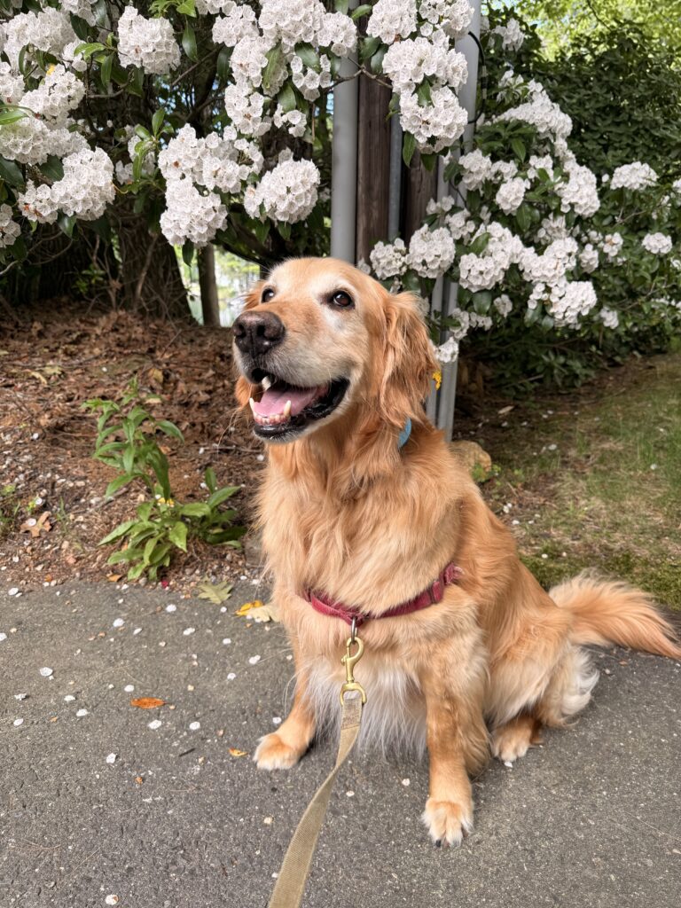 Handsome And Kind