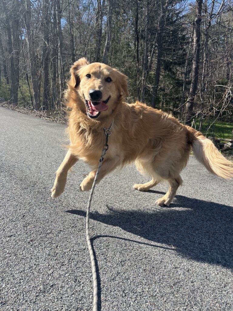 Jumping for joy