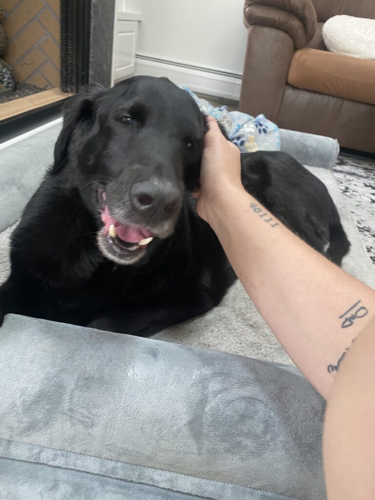 Sweet Sweet Boys 🐾❤️