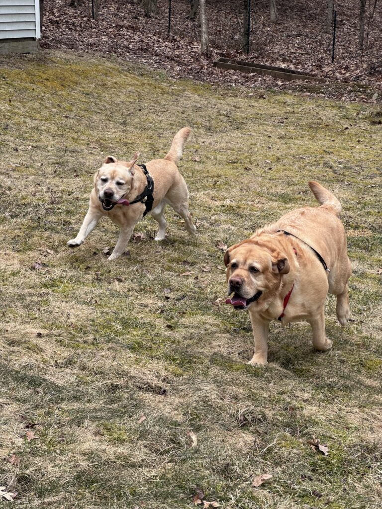 Besties Day!