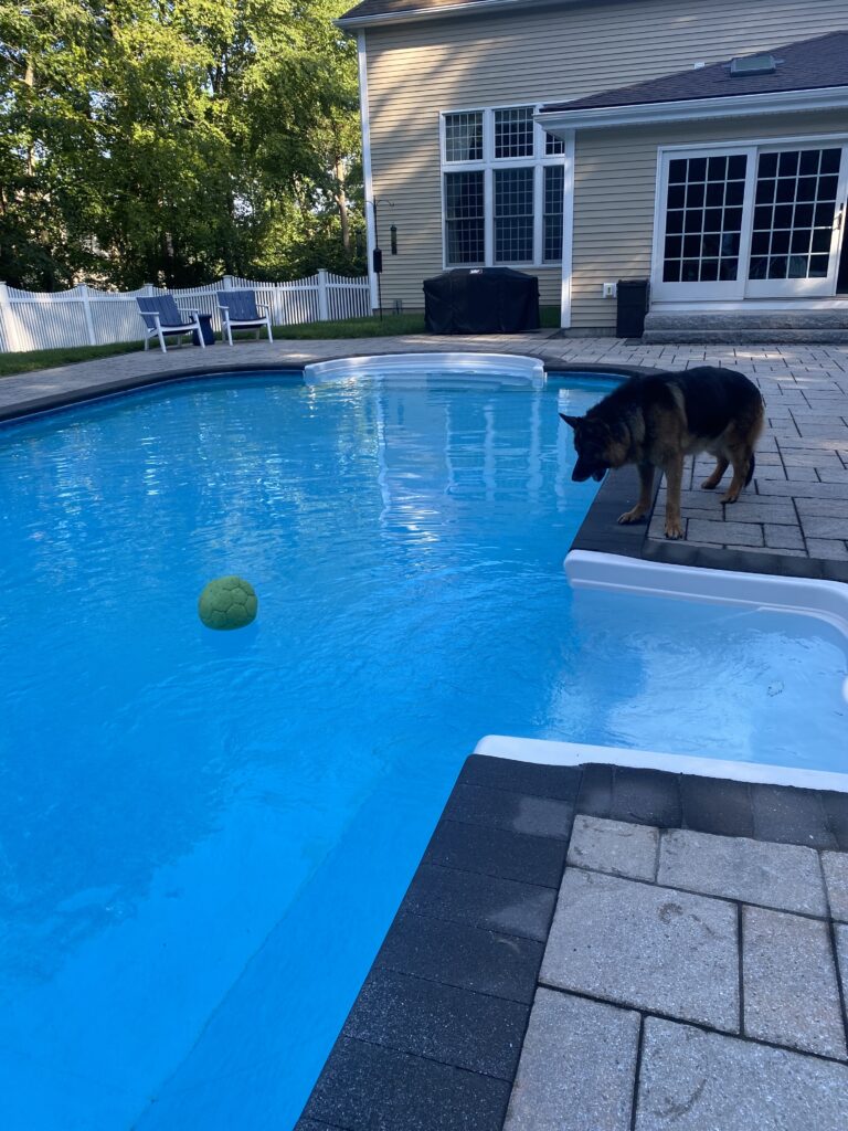 Little Prankster 🤭