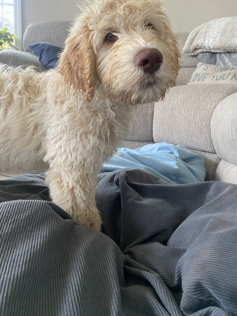 Roo, The Little Smartie Pants 🤭