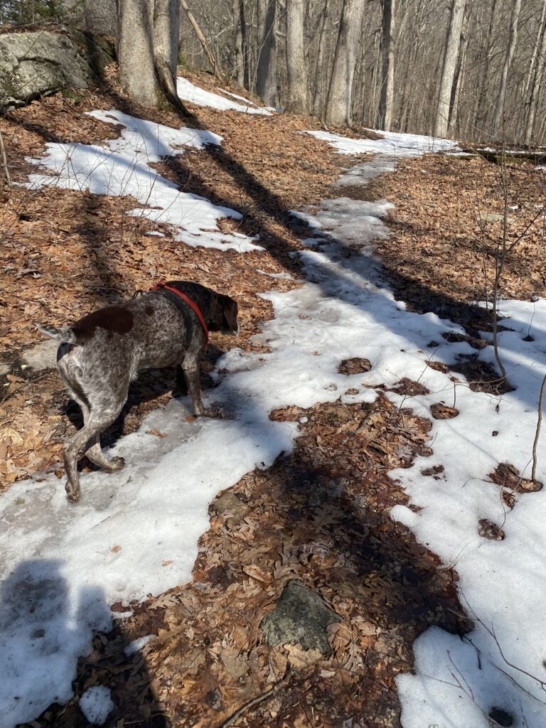 TRAIL TIME!