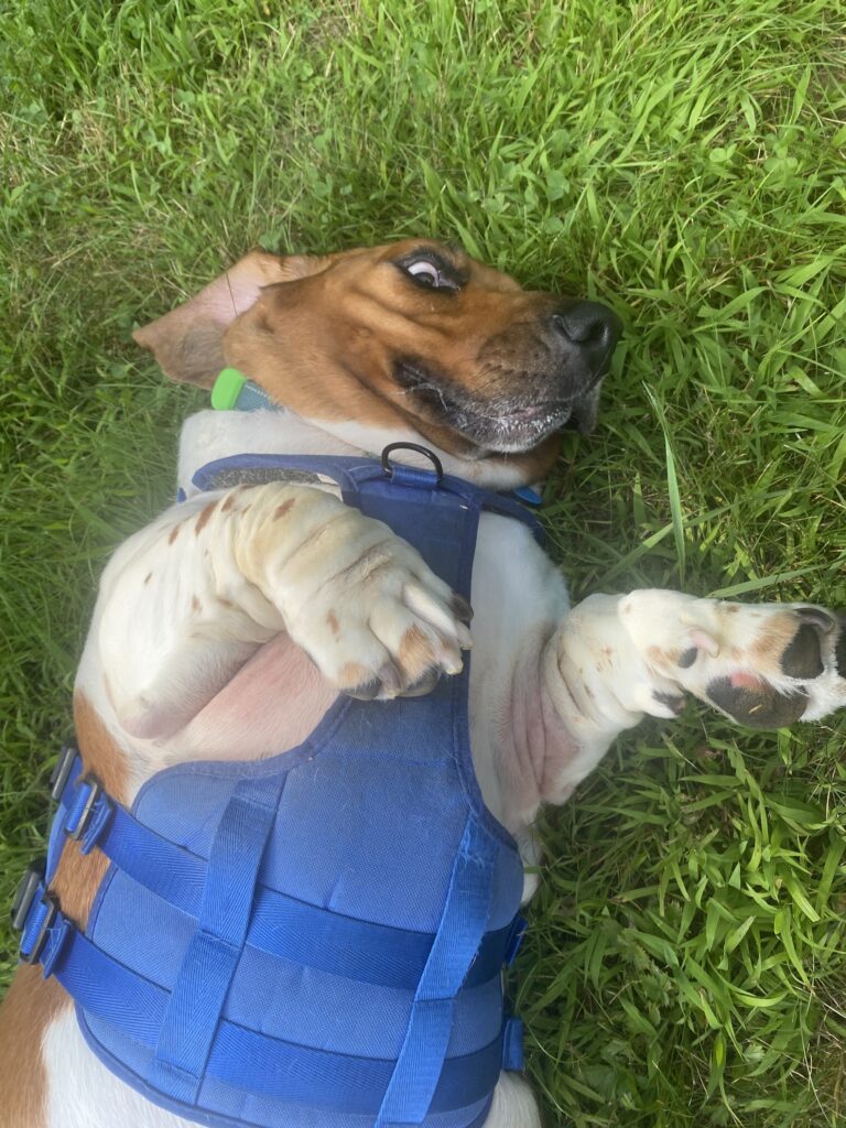 Howie Feeling Today!!?