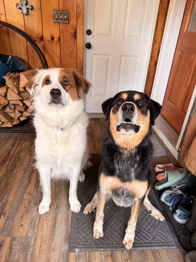 Happy Campers