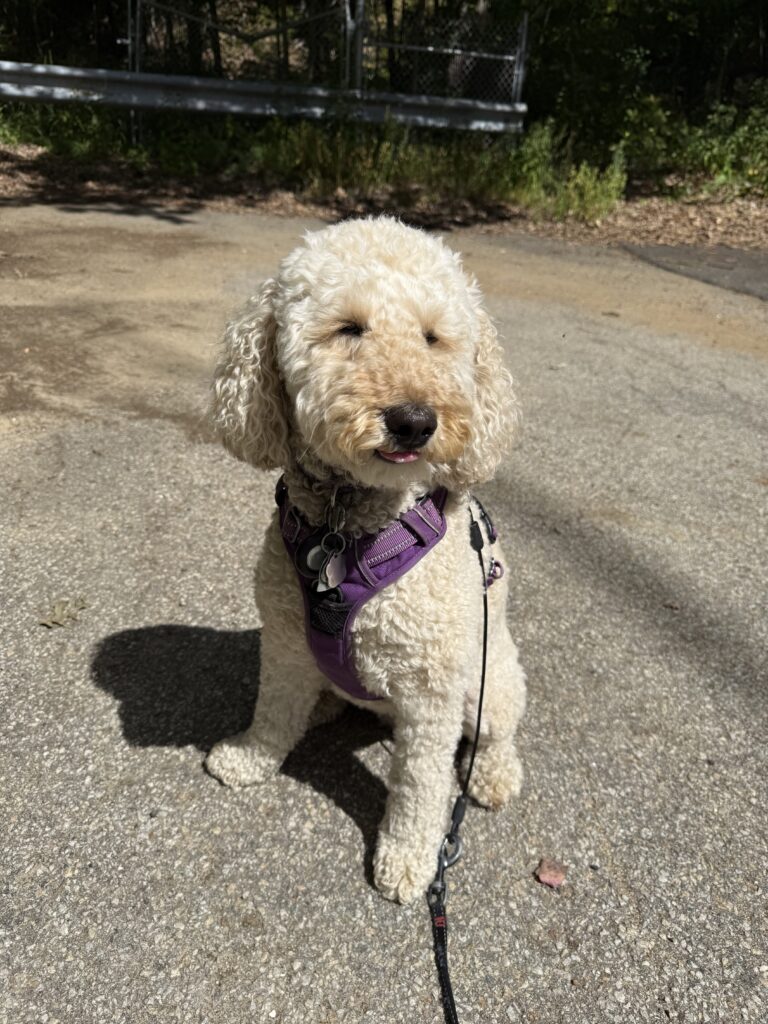 Pretty Millie