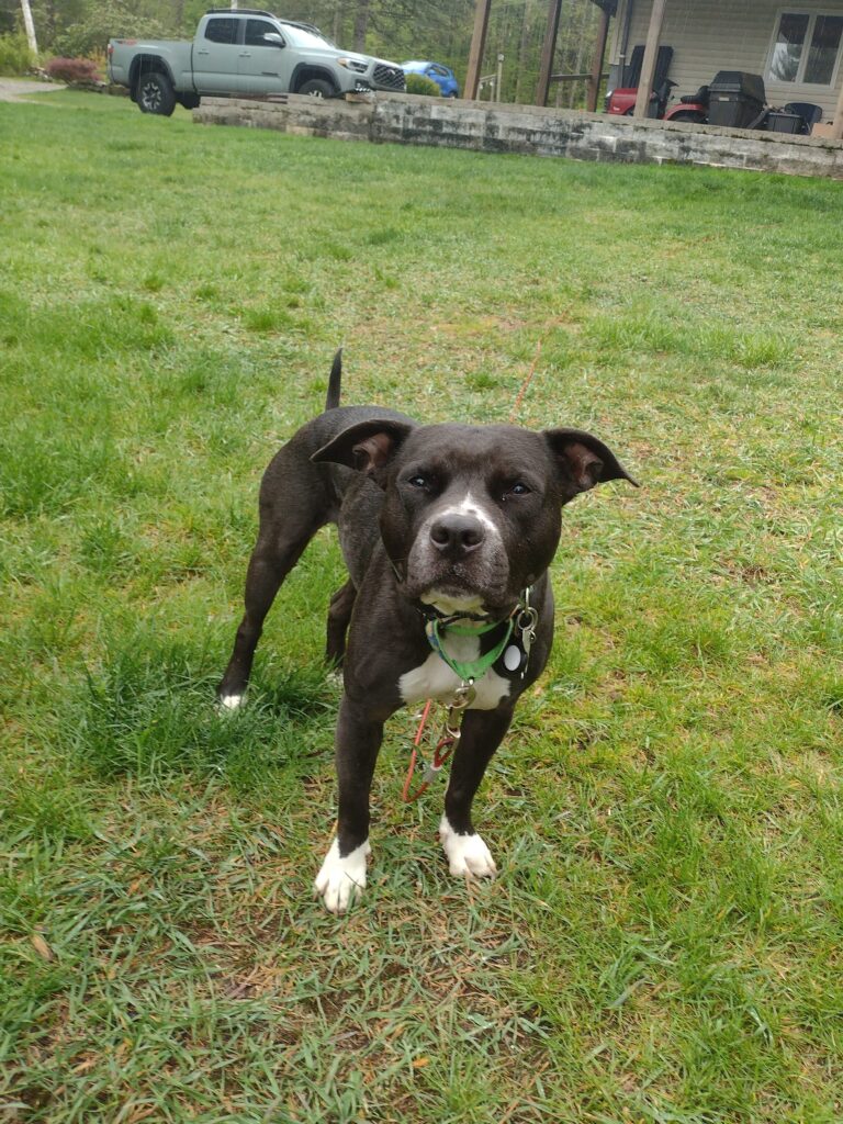 Do I Have To Play In The Rain