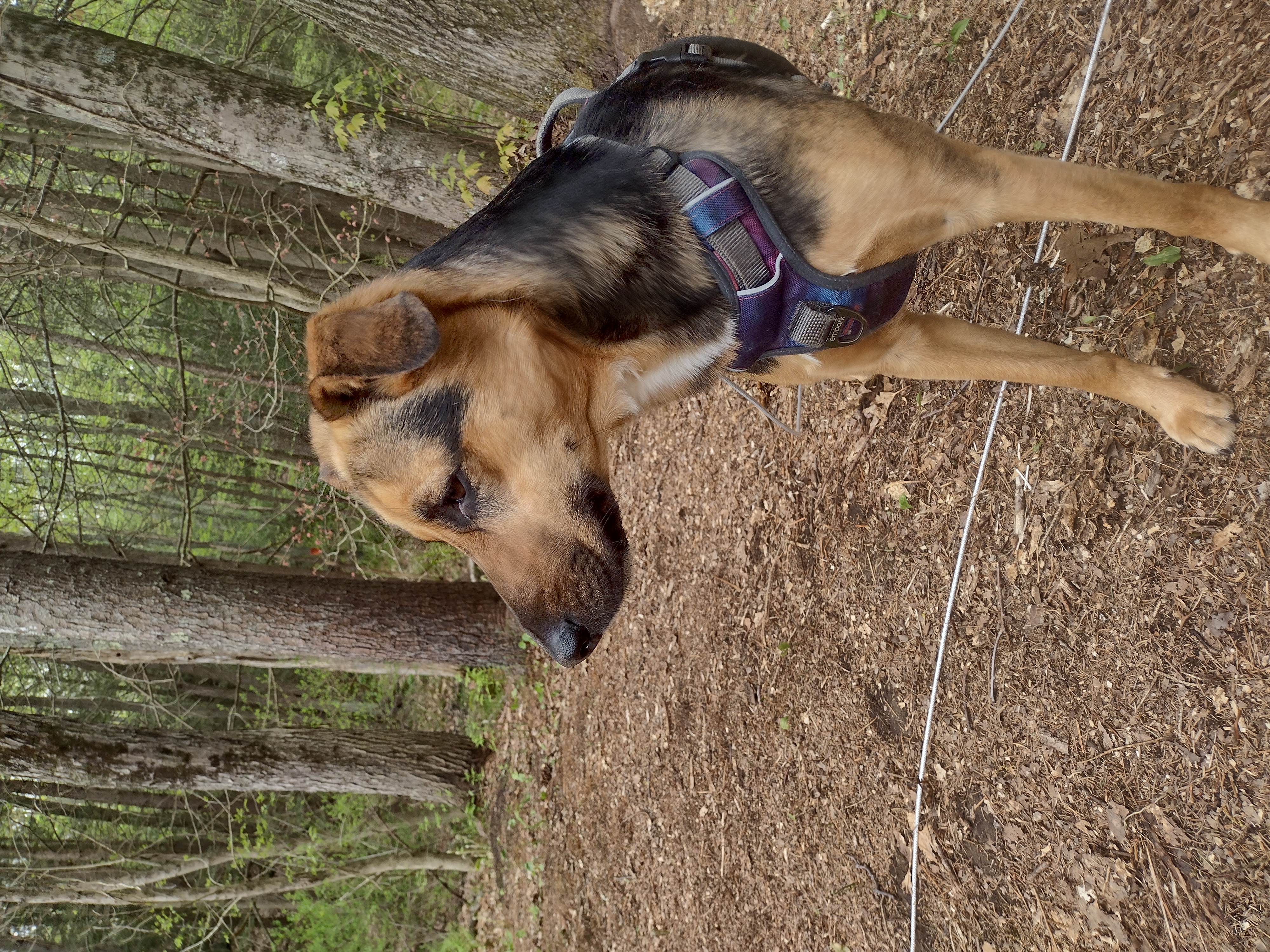 Polly Strikes A Pose!