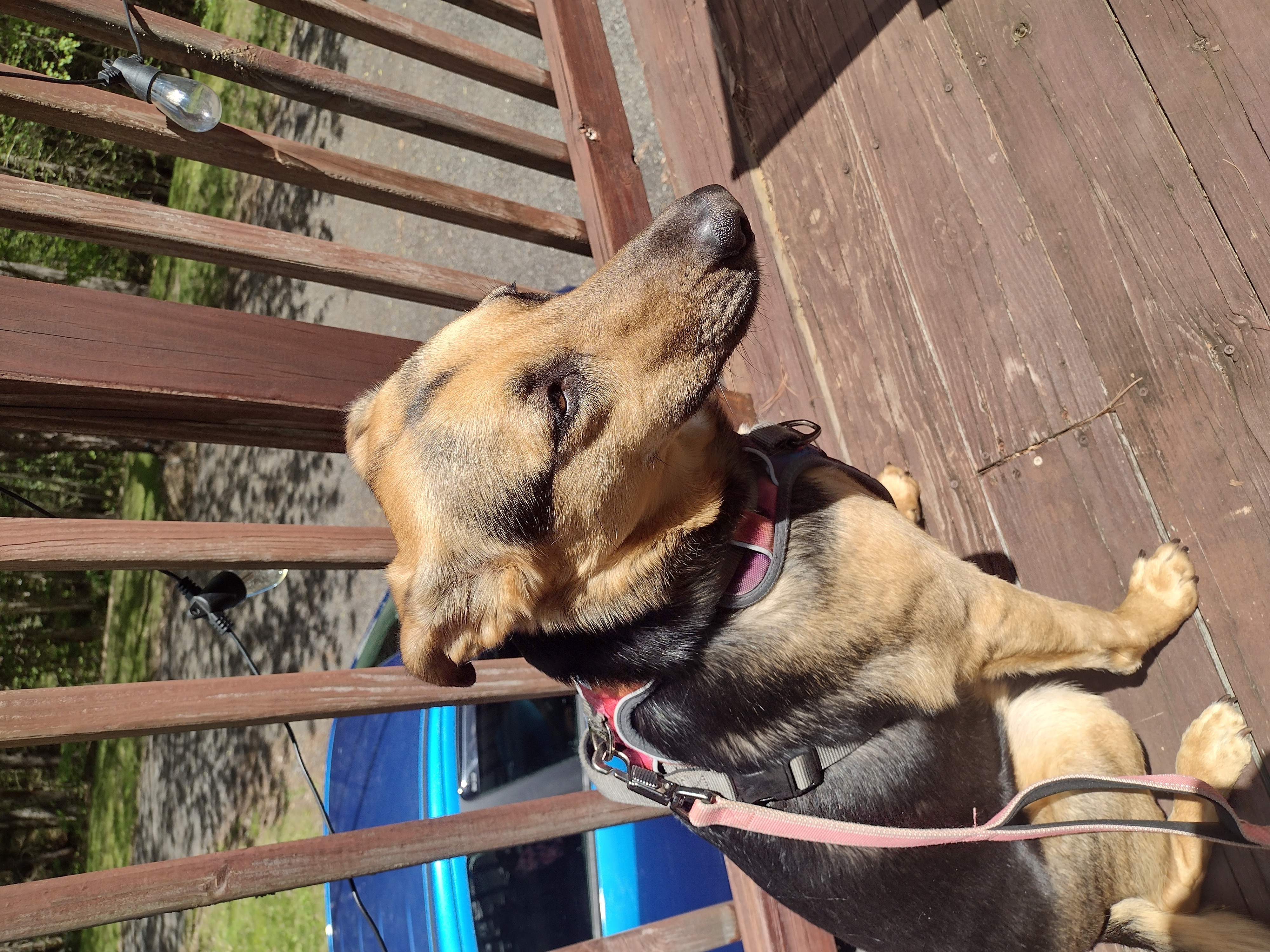 Enjoying The Sun!