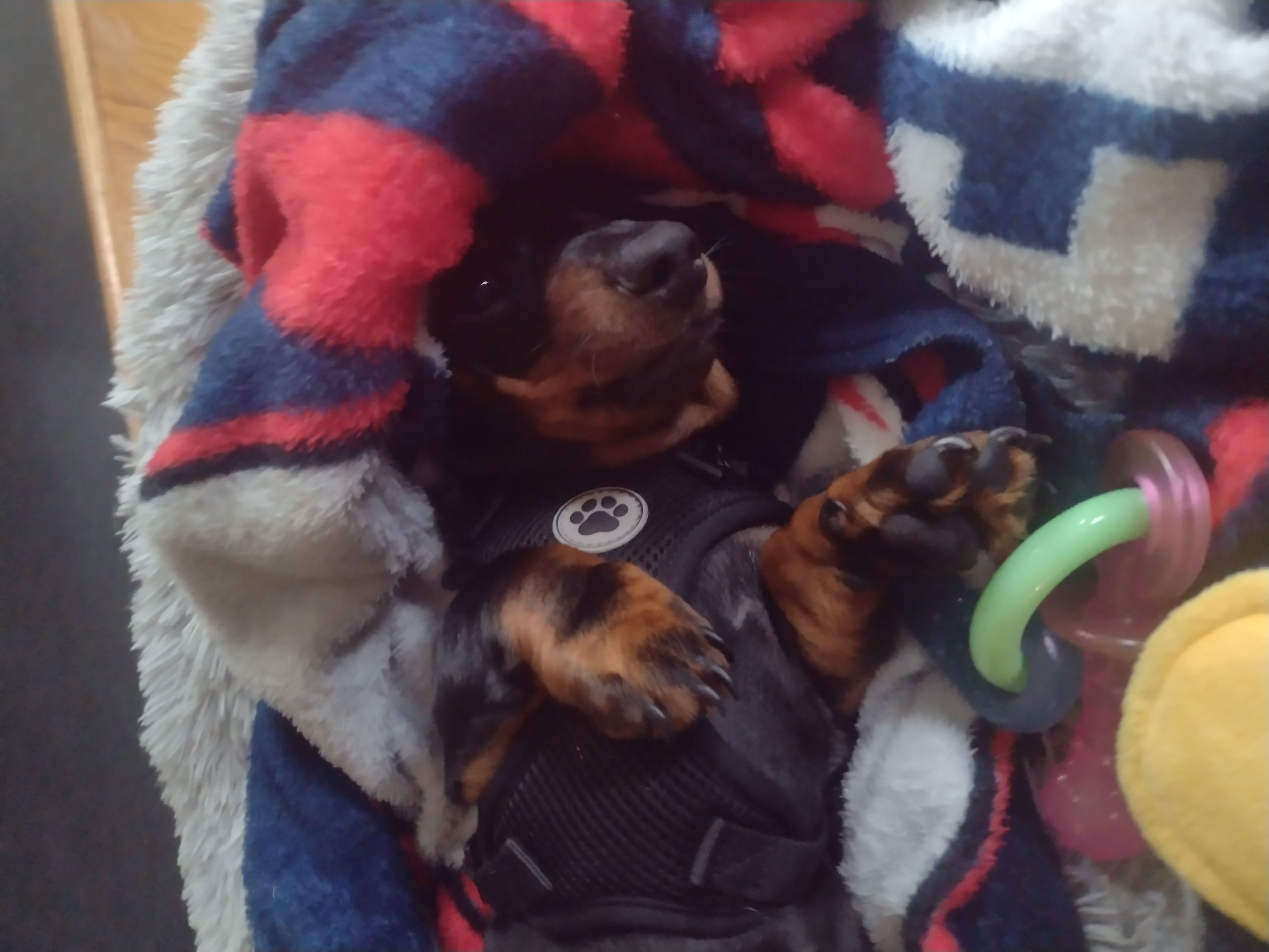 No More Rain Please
