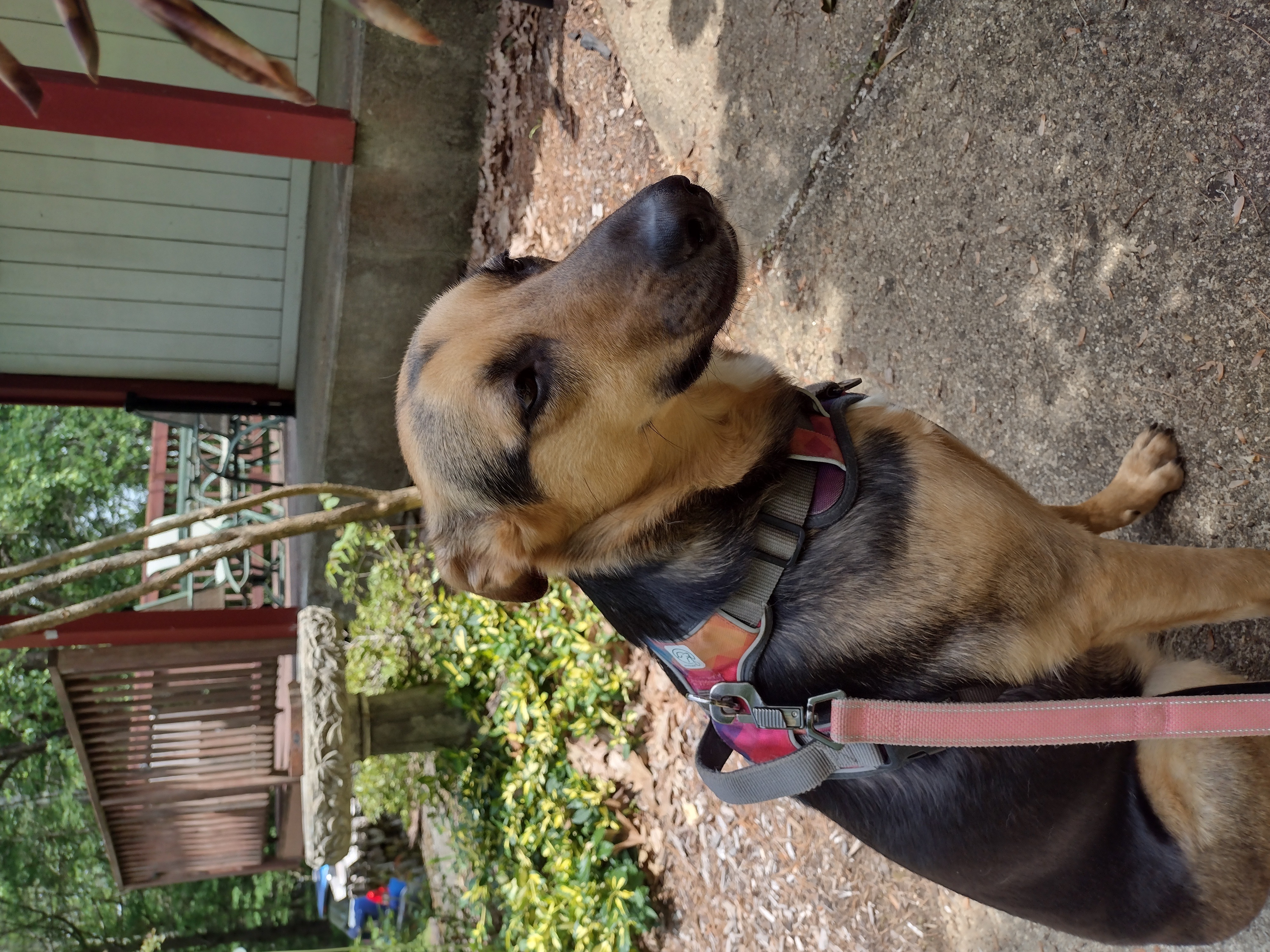 Sweet Polly!