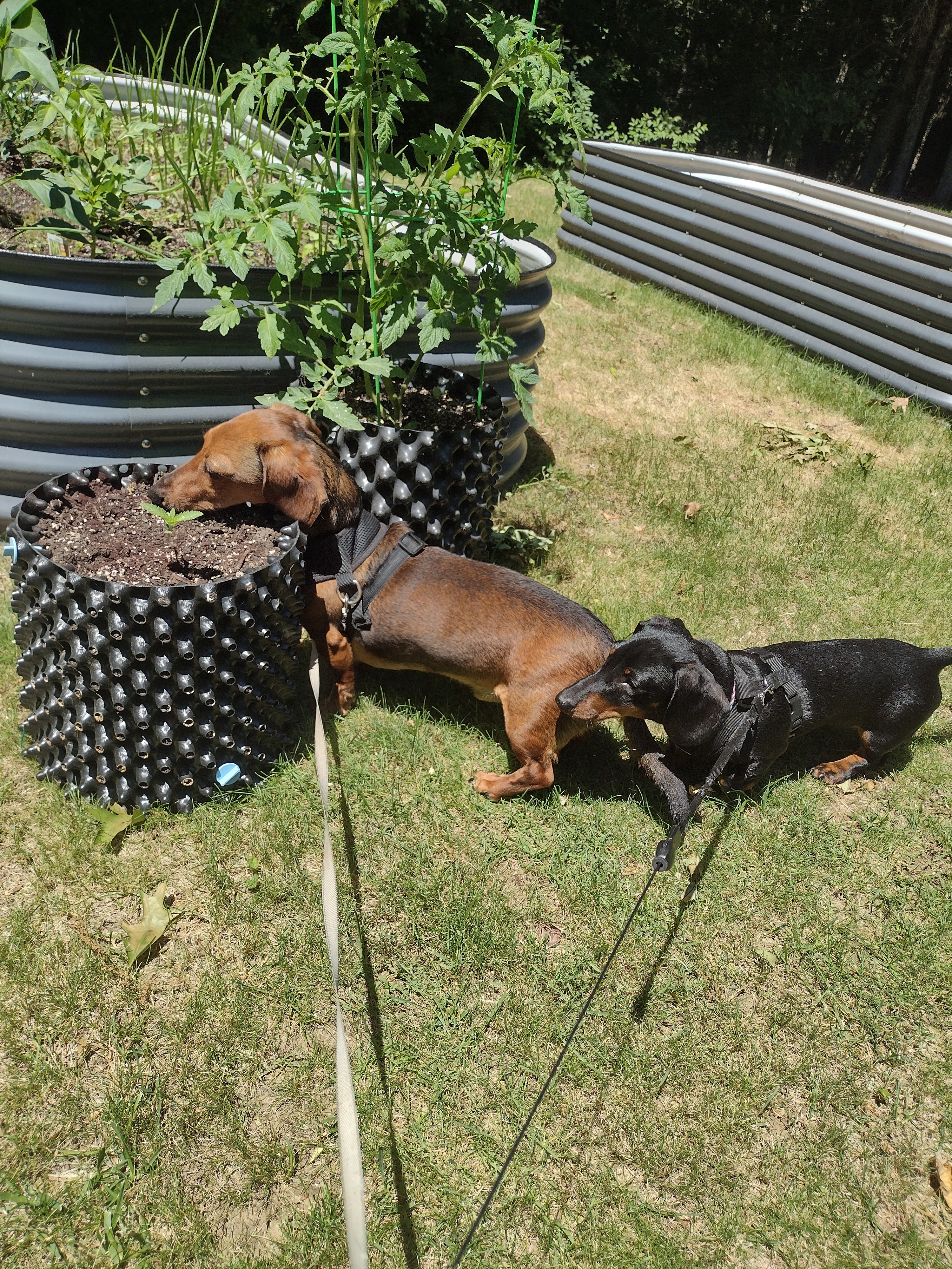 A Great Day To Smell The Flowers!