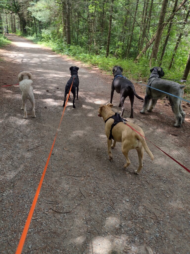 Party Of 5
