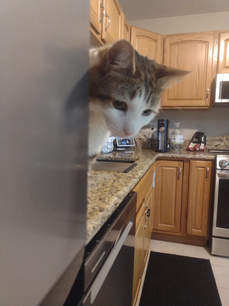 Peekaboo I See You!