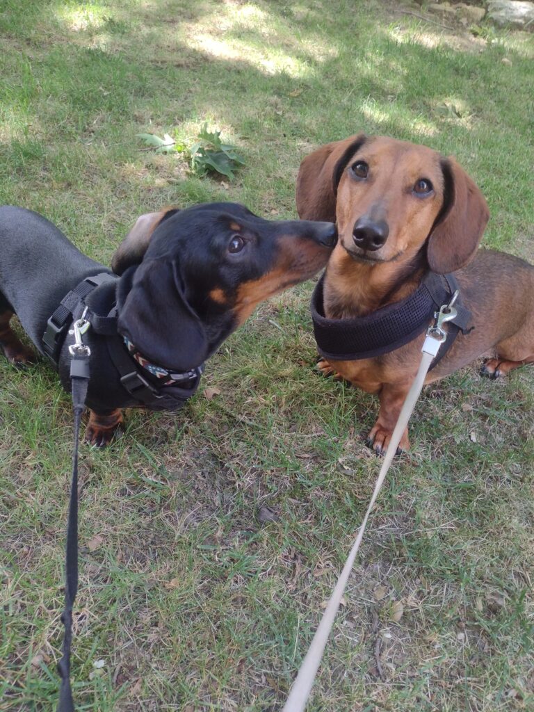 Brotherly Love!