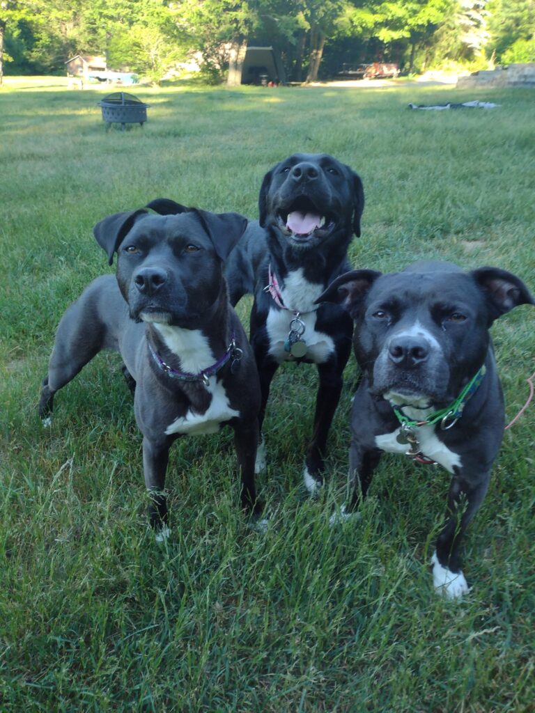 Can We Go Get Dinner Now!